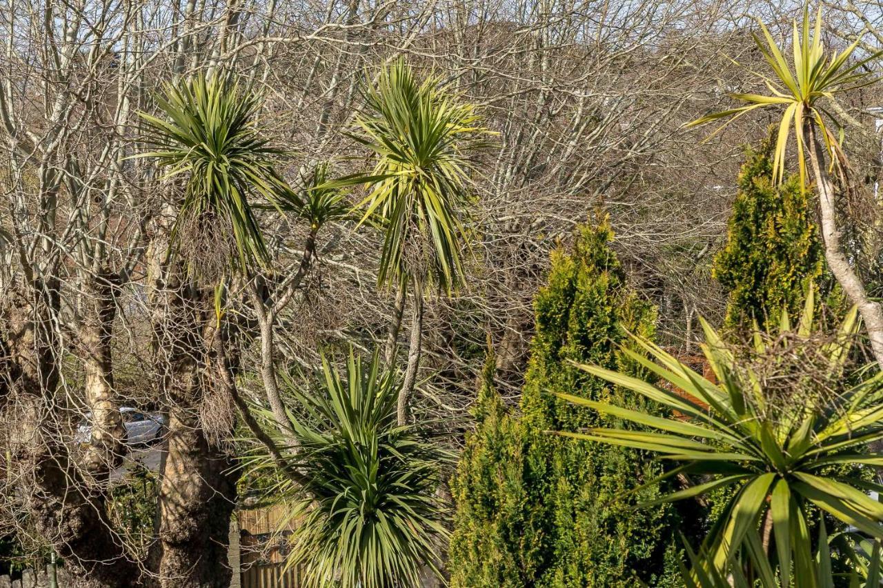Melba House (Adults Only) Bed & Breakfast Torquay Dış mekan fotoğraf